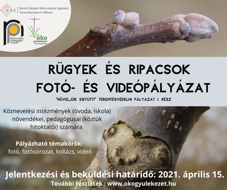 RÜGYEK ÉS RIPACSOK Fotó és videópályázat végleges