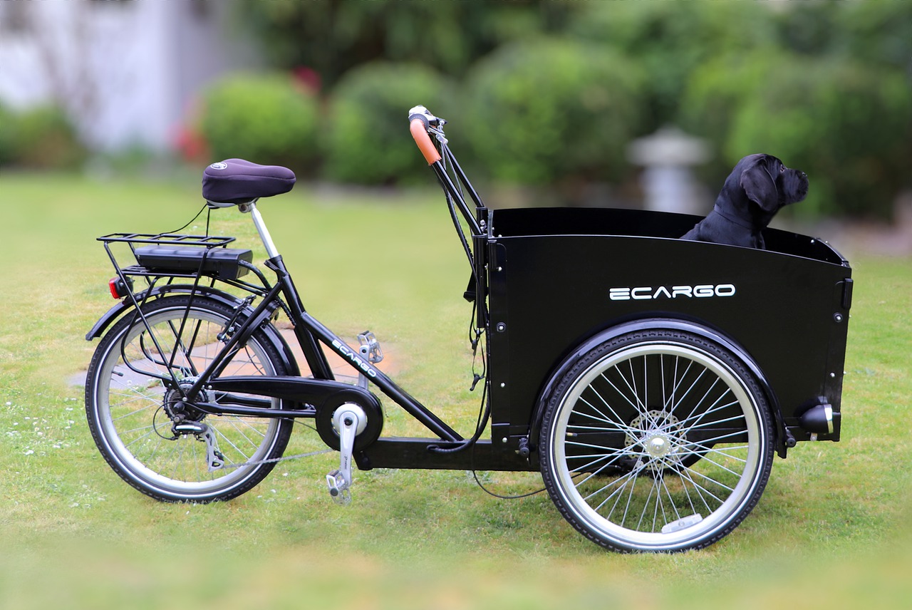 electric cargo bike pixabay